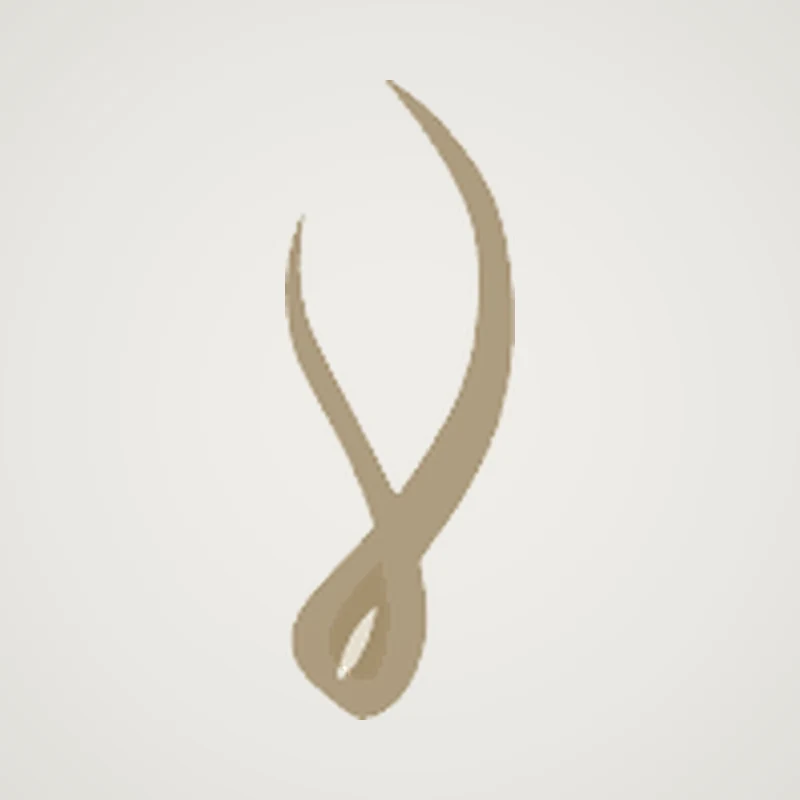 Logo Instituto Aguilera
